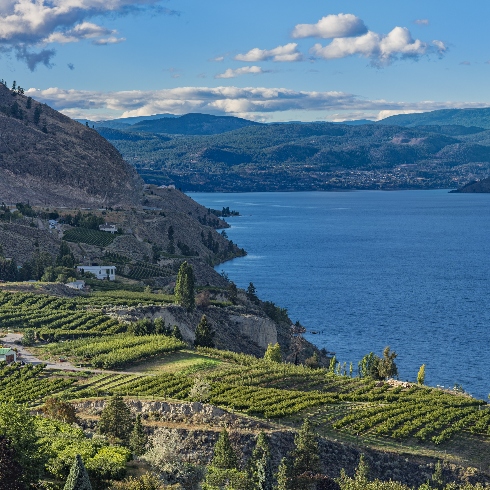 Vineyards and mountains surrounding Okanagan Lake in Summerland, British Columbia