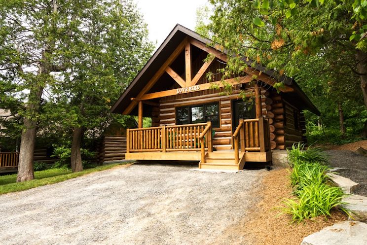 Log cabin in the woods