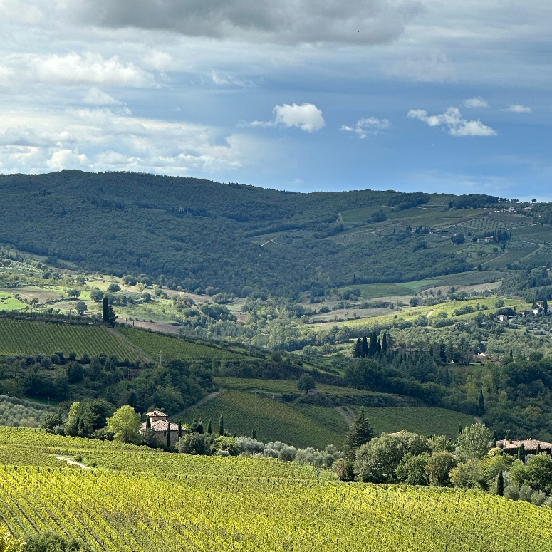 The hills of Chianti, Italy with olive groves and vineyards.