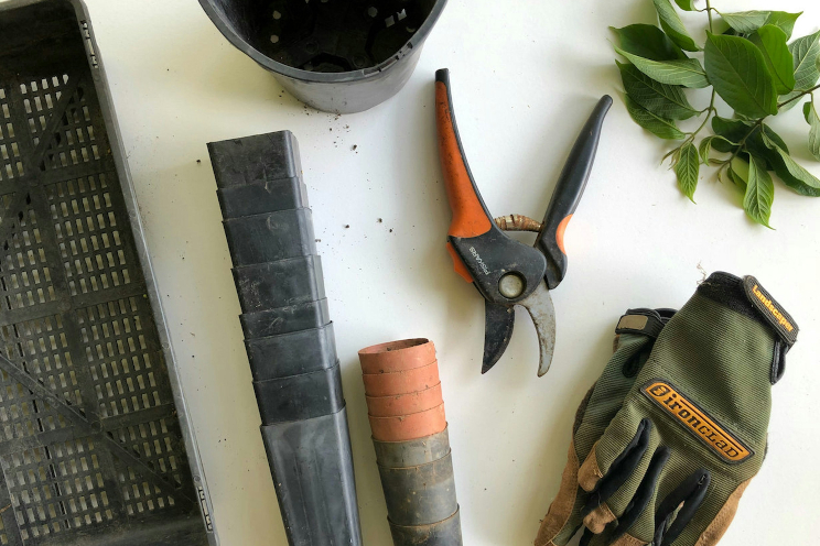 A flat lay of various gardening tools