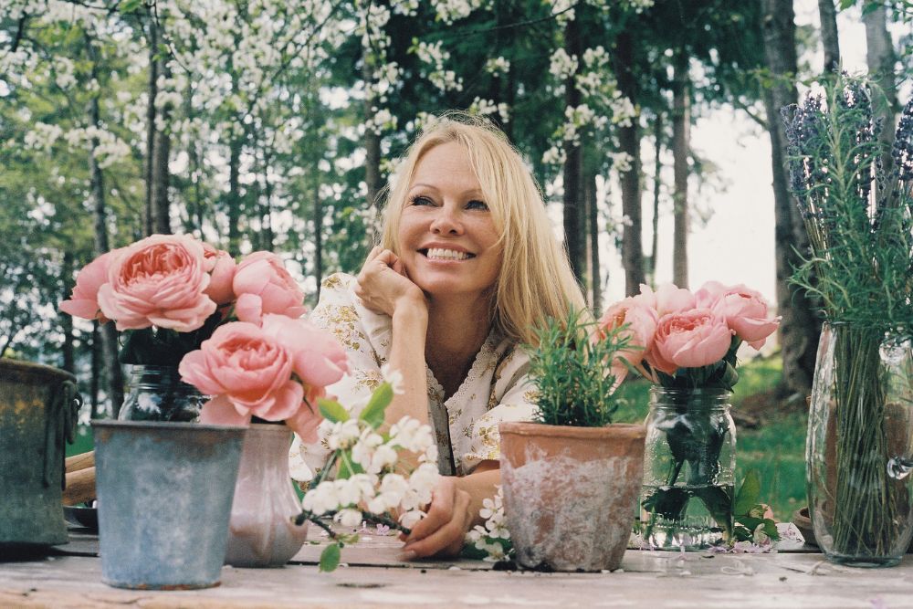 Pamela Anderson