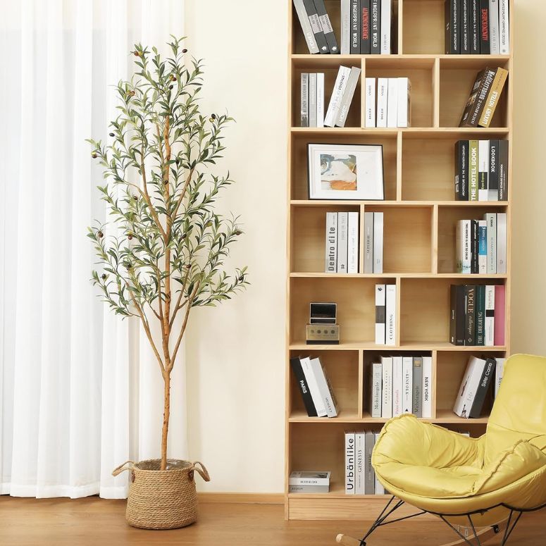Olive tree beside book shelf and chair