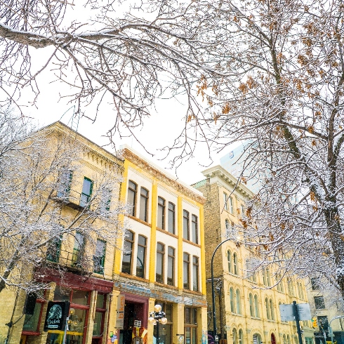 Yellow buildings in Winnipeg, Manitoba's Exchange District surrounded by snowy trees during the winter.