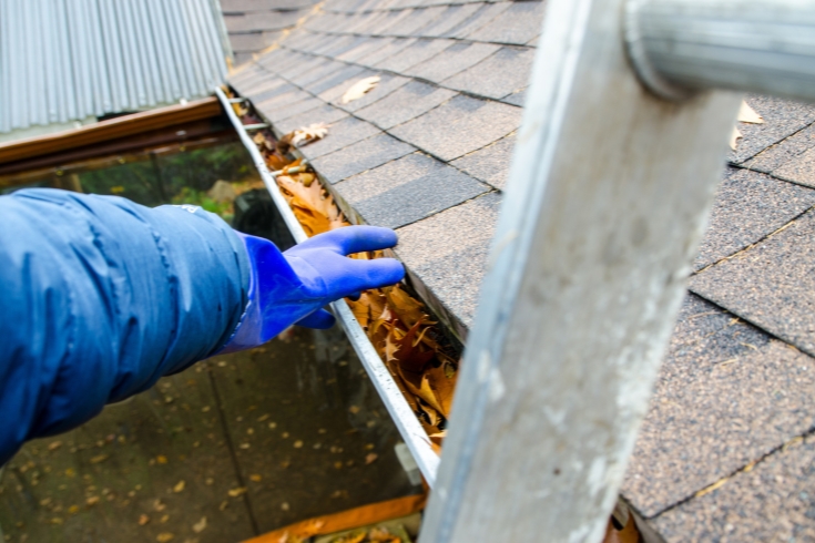 Female clearing gutters of debris