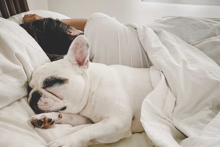 Woman sleeping back to back with dog in bed