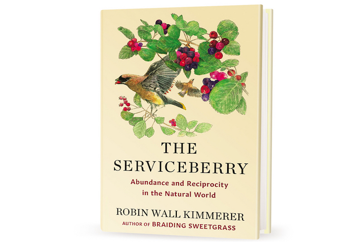The Serviceberry: Abundance and Reciprocity in the Natural World by Robin Wall Kimmerer book as part of Home Network Last Minute Gifts