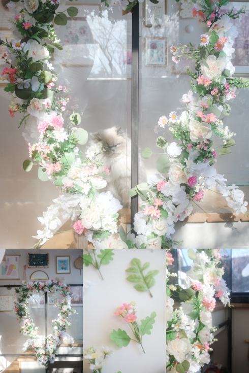 a cat and a wall floral heart shape 
