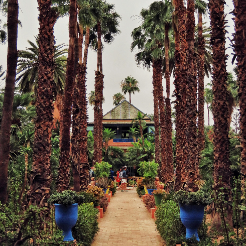 A palm tree-lined walkway in the Majorelle Gardens in Marrakech, Morocco.