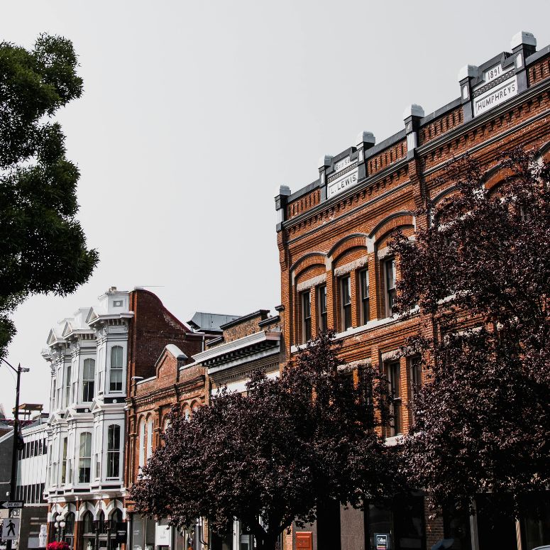 Buildings and tree