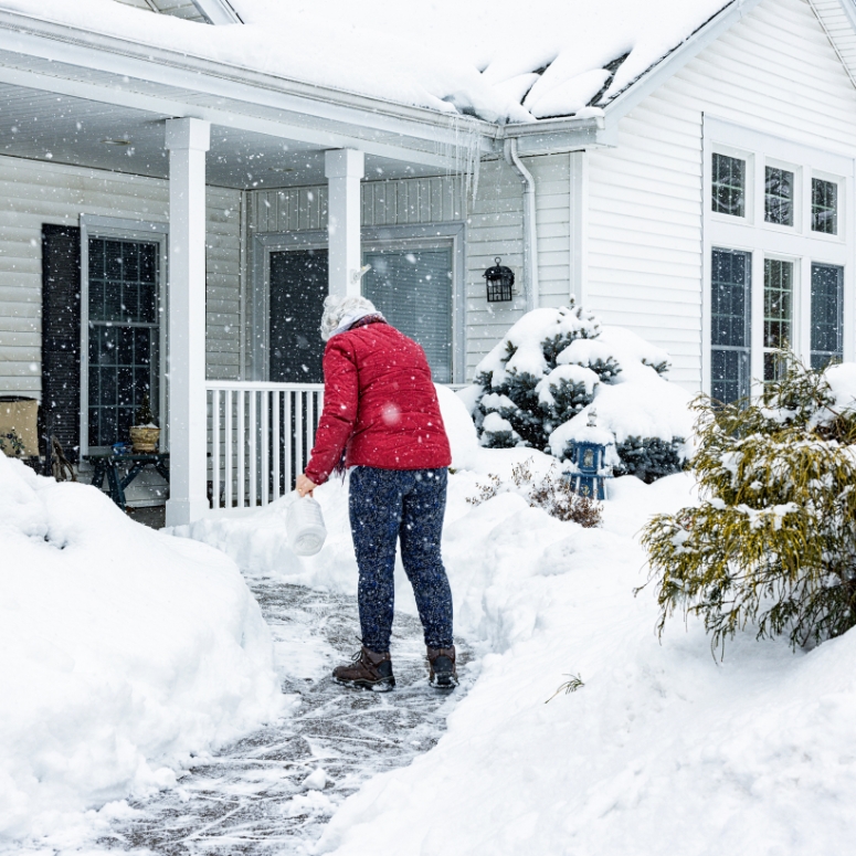 Woman spreading de-Icing crystals on cleared walkway of a house in the snow.