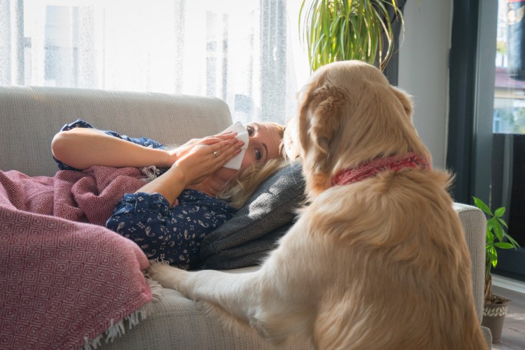 dog and a sneezing woman