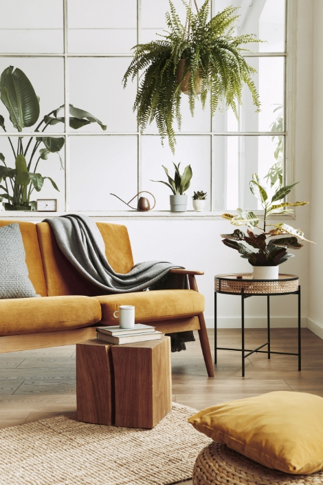 Cozy living room with yellow couch, mirror-covered wall and plants.