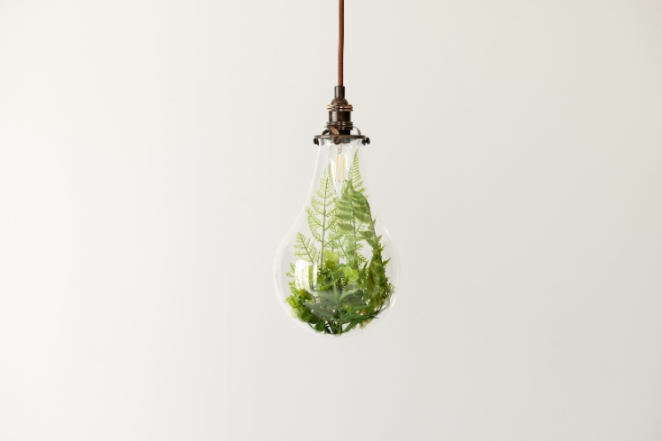 A hanging lightbulb with green plants inside.
