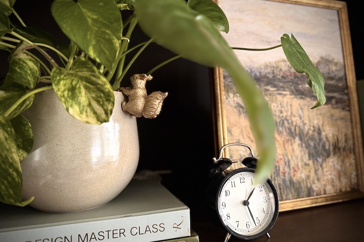 Potted plant stacked on books next to a clock.