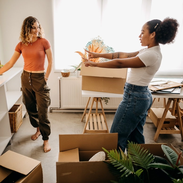 Two friends are furnishing their new apartment together.