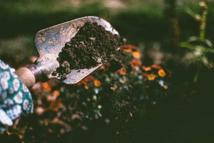 A gardener's hand holds a small shovel spilling dirt onto a flower bed. 