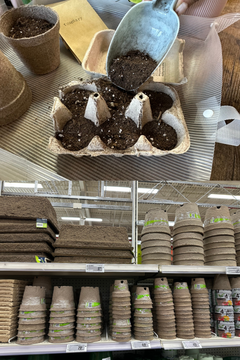a collage of two images. top image: egg carton with soil in each of the egg cups. bottom: biodegradable pots on shelf at store