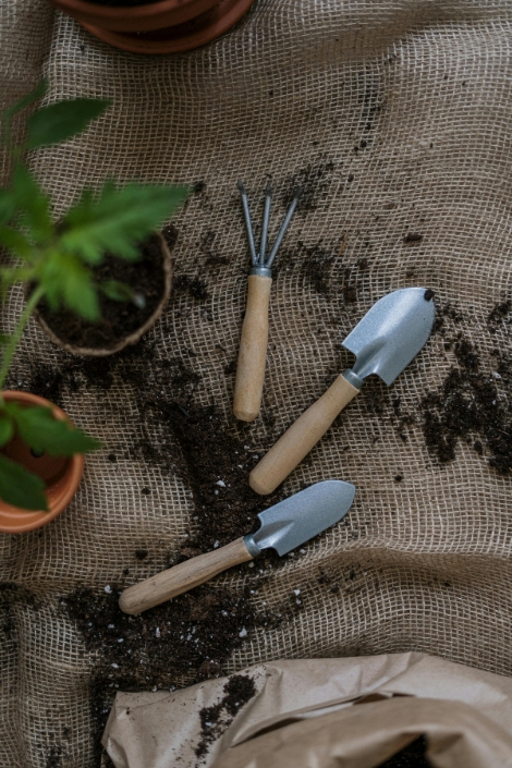 Gardening tools and small potted plants.