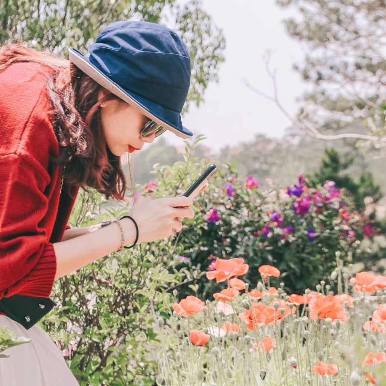 A person leans over a flower garden to take a photo with their phone.