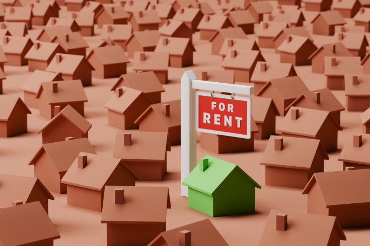Conceptual image of a single green house amongst many brown ones with a for rent sign. 