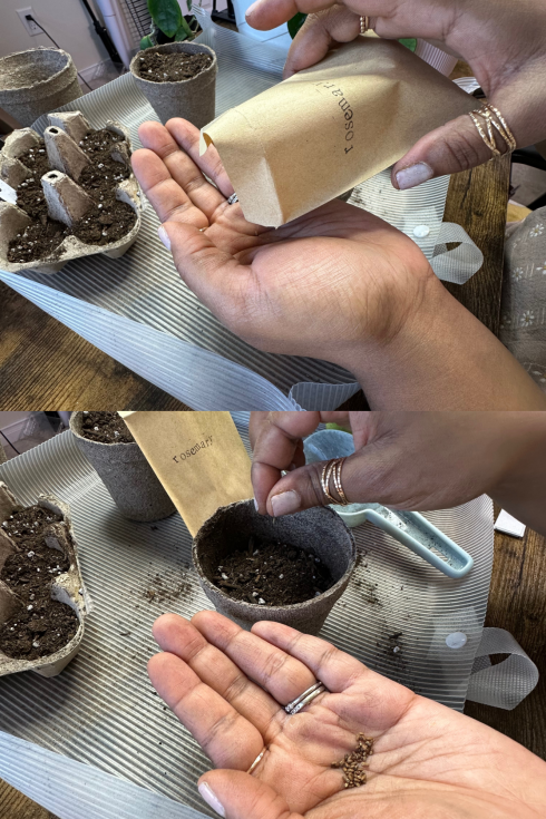a hand pouring seeds from a packet, planting them in a small pot