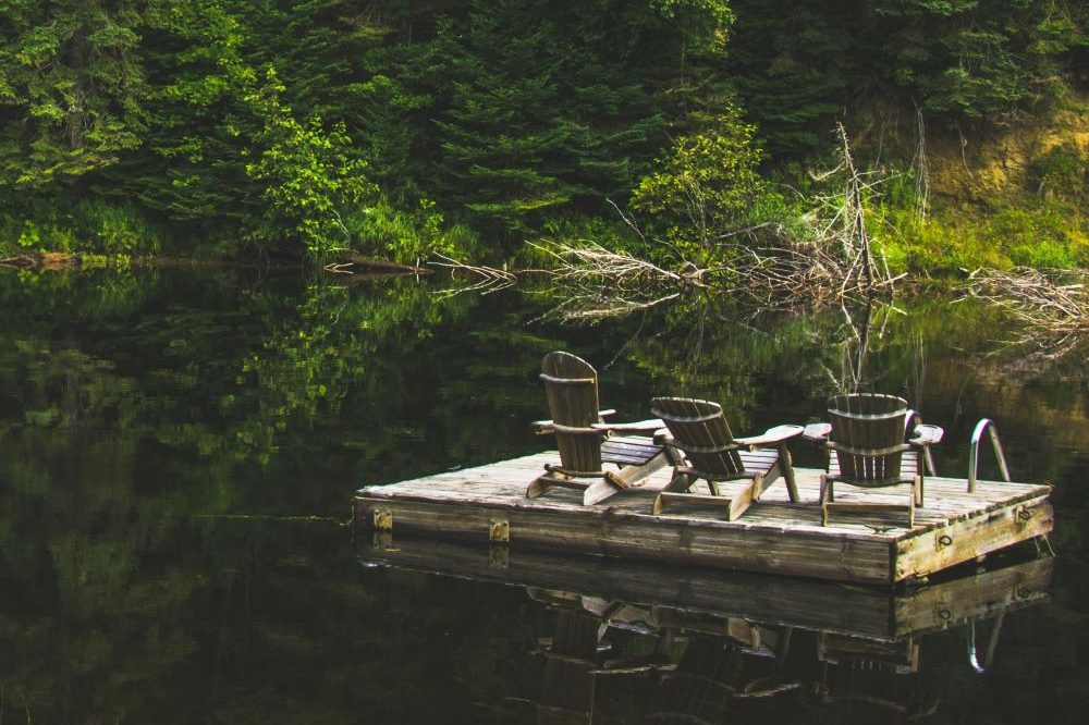 Densely forested lake