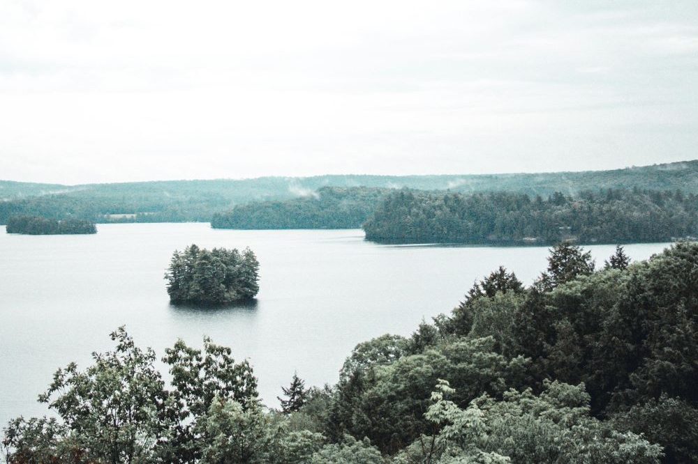 forested lake summer cottage rentals