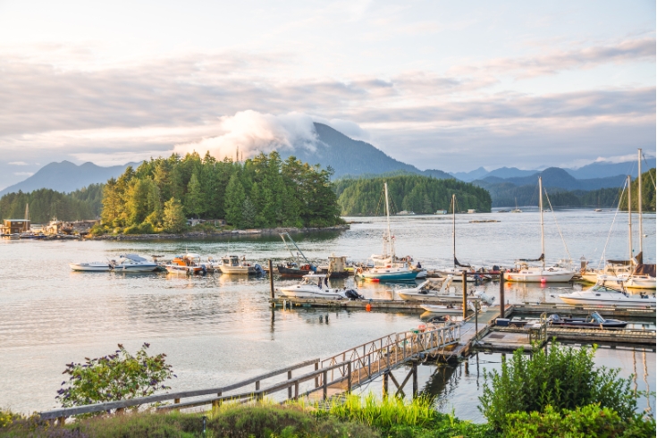 Dock and the harbour water in Tofino, Vancouver Island, British Columbia.