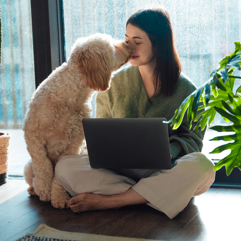 Young Asian woman kissing with her dog while using laptop, sitting on the floor, relaxing at home on a sunny afternoon. Concept of work-life balance. Lifestyle and technology.