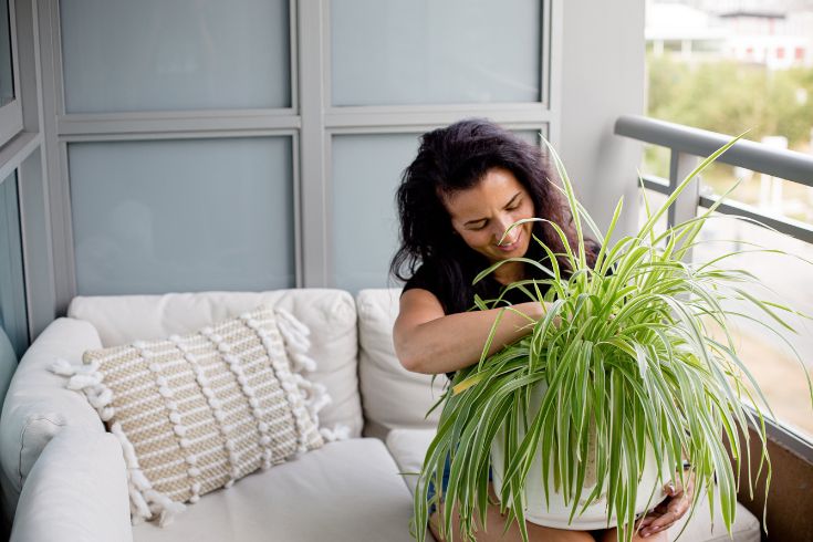 A person sits on their patio potting a spider plant. 