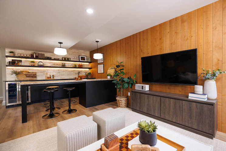 Rec room with custom counter, bar and lounge area