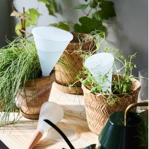 Self-Watering Can Transparent self-watering insert placed near plants.