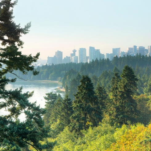 Stanley Park — Vancouver, BC View of Vancouver skyline looking over forest area of Stanley park morning