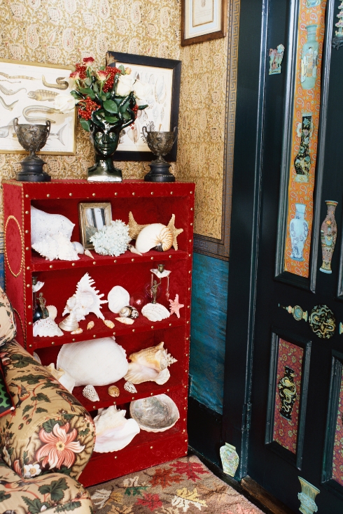 Seashell Collection on Bookcase