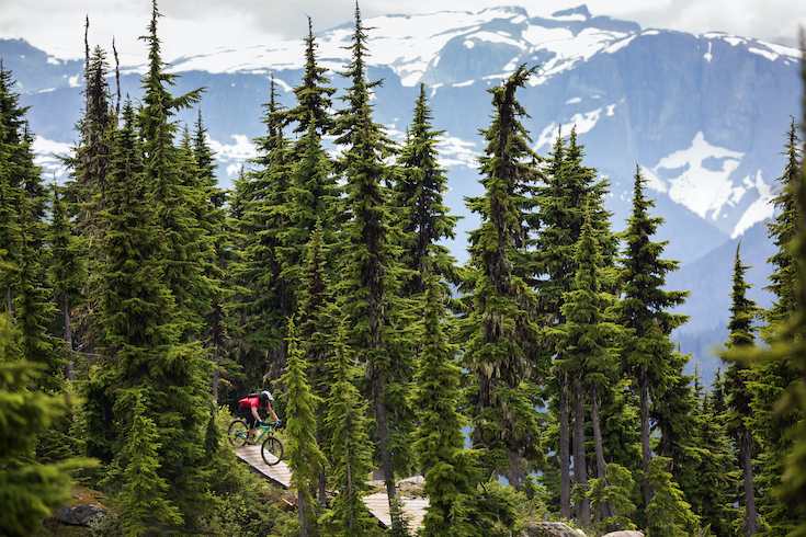 A mountain biker on the Wizard bike trail at Mt Washington