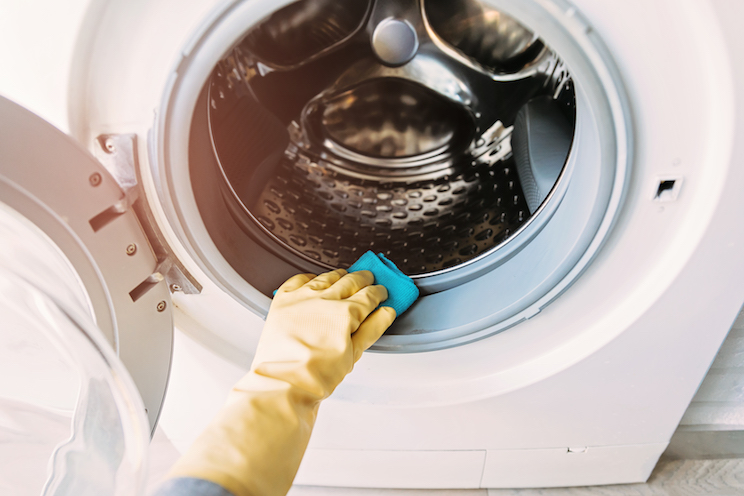 Close up of hand cleaning dirty washing machine sealing rubber