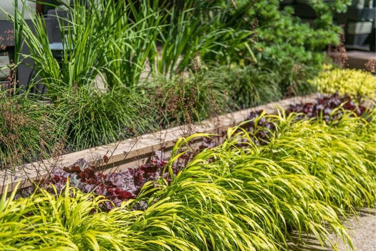 Layering heights, textures and colours are striking this late-summer garden. 