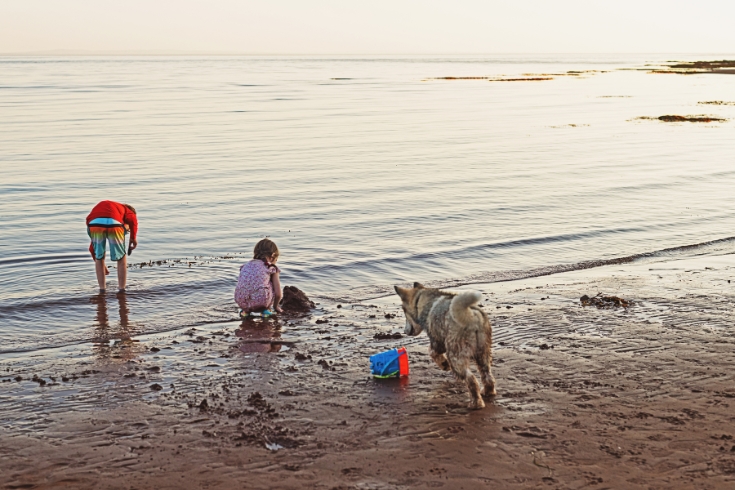  brother and sister enjoy an evening at the beach.