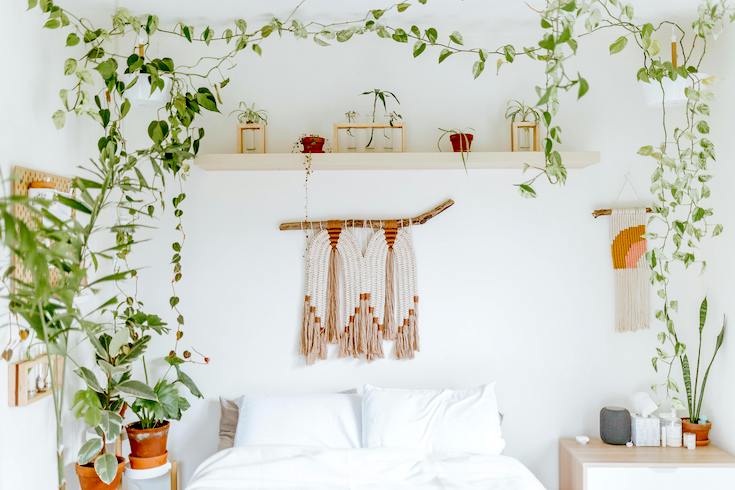 Indoor Plants in a white bedroom with a woven wall hanging on the white walls
